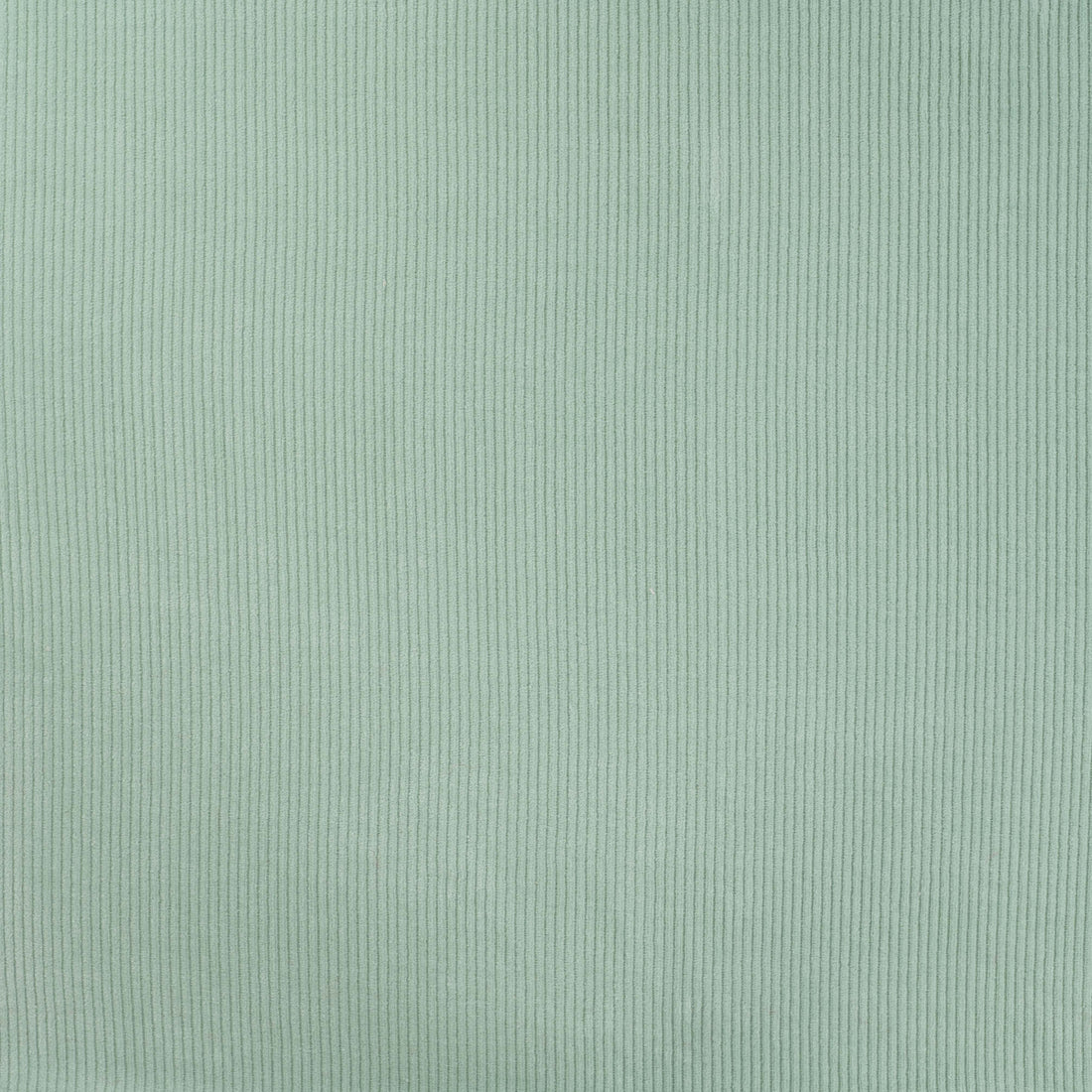 0,5m Velvory Pastel Mint  - dehnbar & weich :)