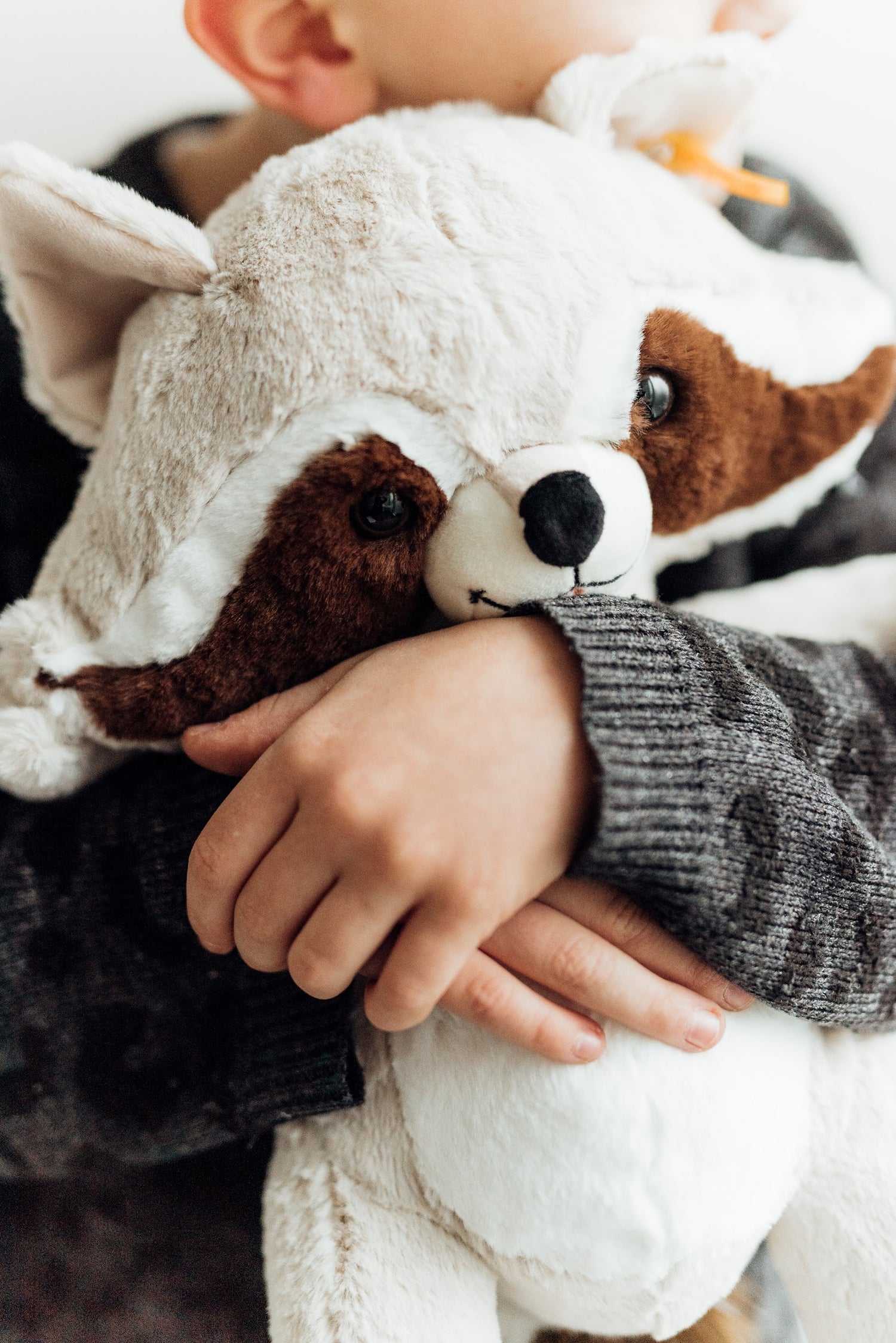 Steiff-Charlie Waschbär Kuscheltier Plüschtier ca. 44 cm groß